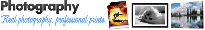 Photo Prints & Photography